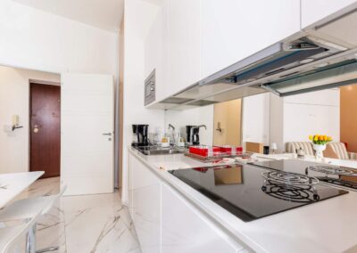 Elegant apartment 300 m from St. Peter's Basilica, Rome
